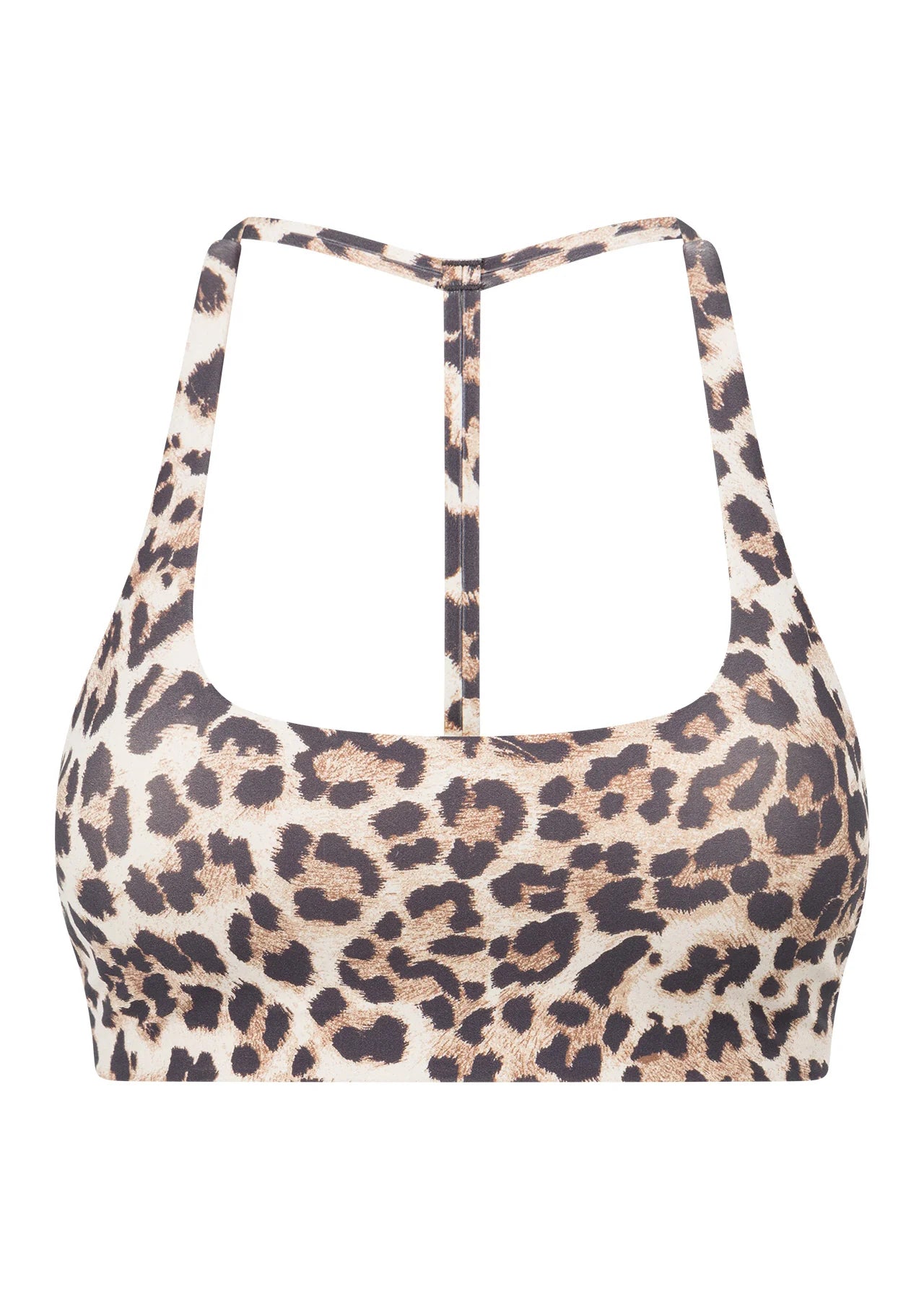 Wildcat All Day Sports Bra